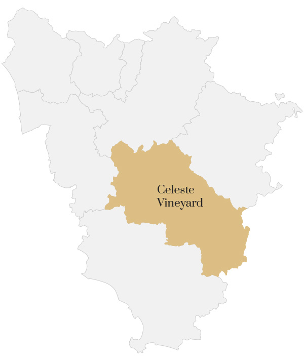 map-celeste